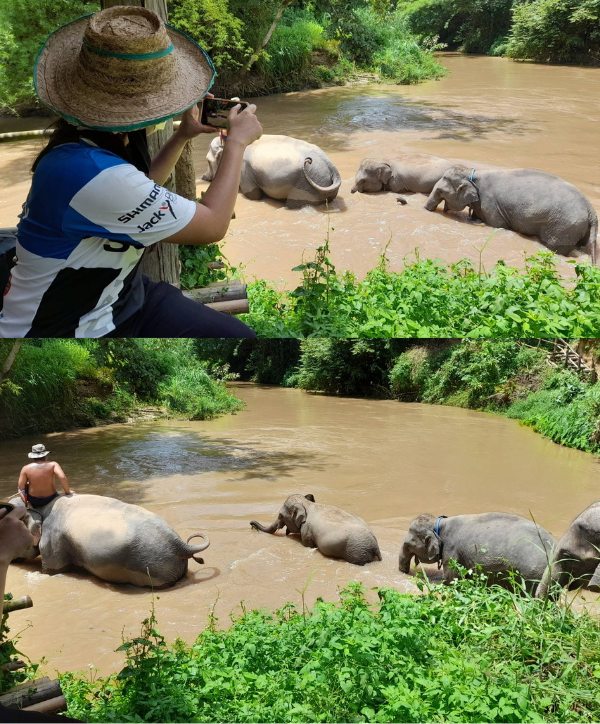 chiang mai private tours elephant tours from chiang mai tours